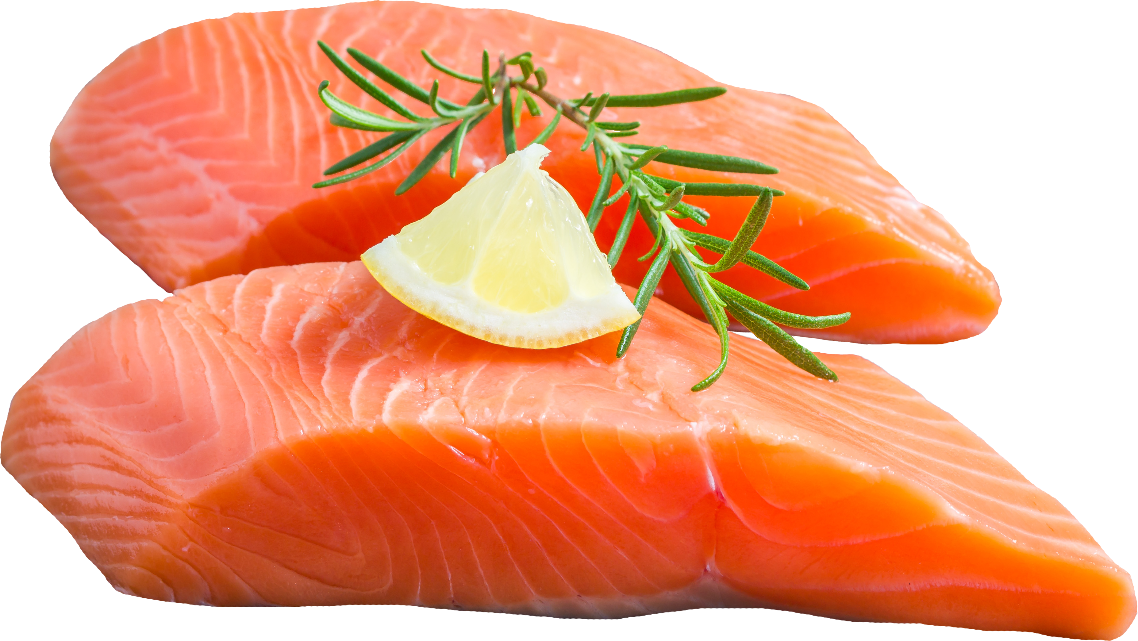 frischer Wildlachs