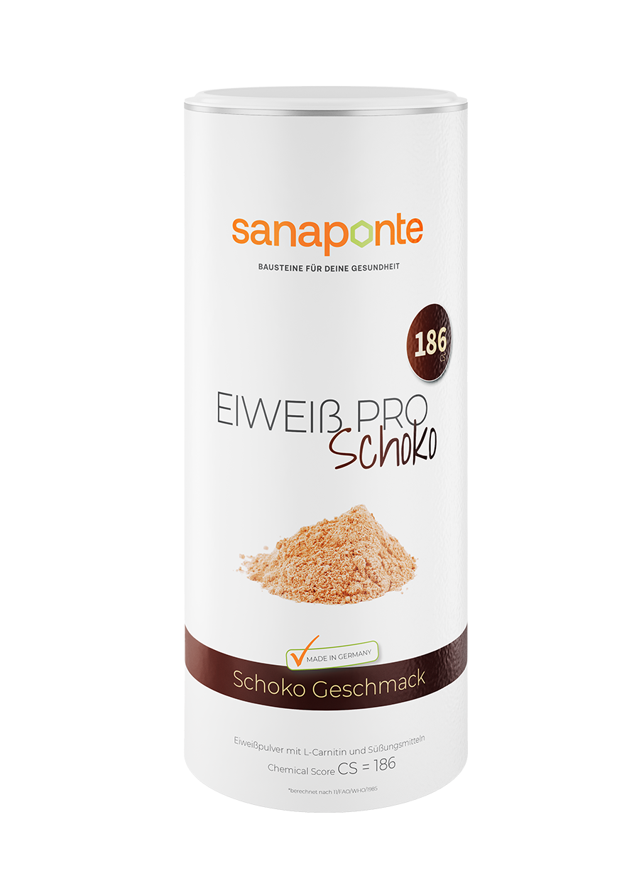 Eiweiß Pro Pulver Schoko