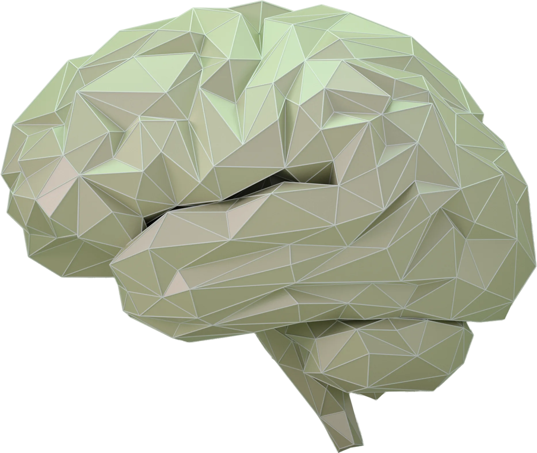 Gehirn aus Polygonen abgebildet.